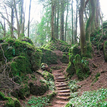 Navigating the Rocky Path of Your Medical Journey
