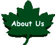 Learn About OUr Background And Why We Created PATHS