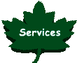Learn About Our Services
