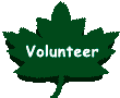 Volunteer Opportunities at PATHS